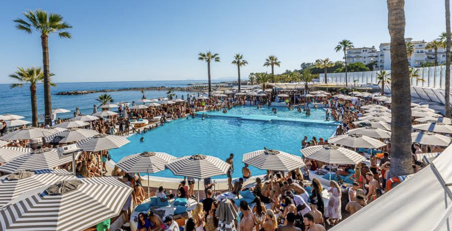 Big pool club sorrounded by sunbeds infront of the ocean